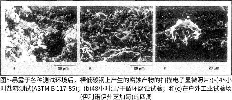 圖5-暴露于各種測試環(huán)境后，裸低碳鋼上產(chǎn)生的腐蝕產(chǎn)物的掃描電子顯微照片