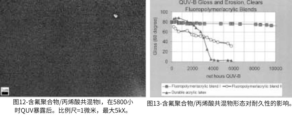 圖12-含氟聚合物丙烯酸共混物I，在5800小時(shí)QUV老化測試后的情況；圖13含氟聚合物丙烯酸共混物形態(tài)對耐久性的影響