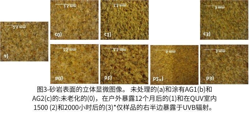 圖3-砂巖表面的立體顯微圖像。 未處理的(a)和涂有AG1(b)和AG2(c)的未老化的(0)，在戶外暴露12個月后的(1)和在QUV紫外老化測試箱內(nèi)1500 (2)和2000小時后的(3)僅樣品的右半邊暴露于UVB輻射。